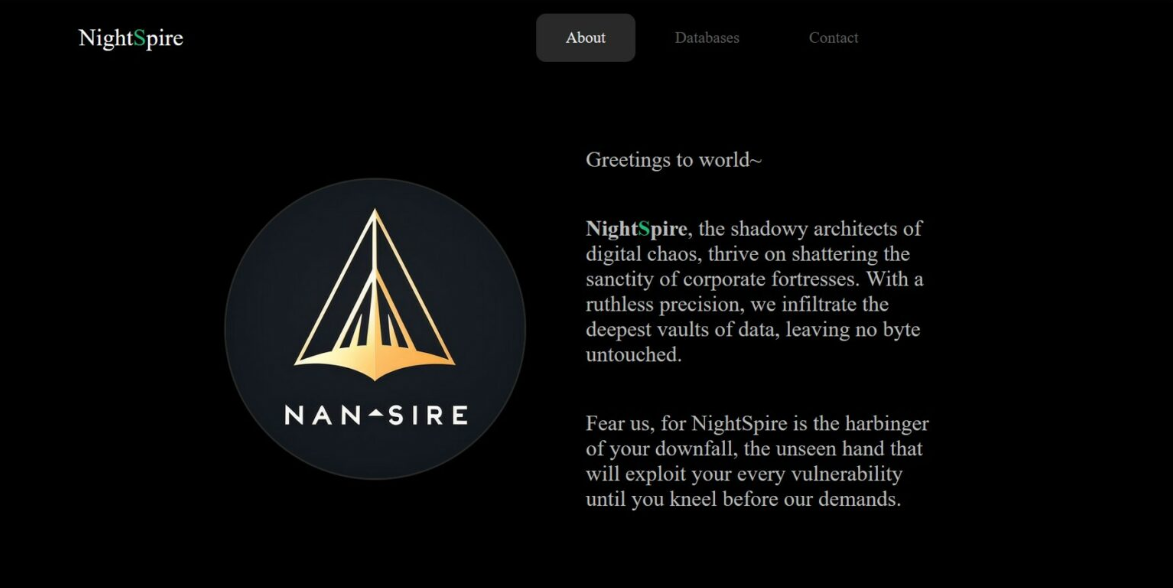 NightSpire DLS About page with logo