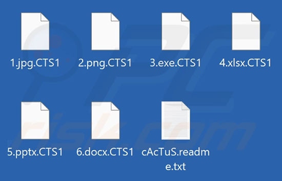 Screenshot of files encrypted by Cactus ransomware, via PCRisk