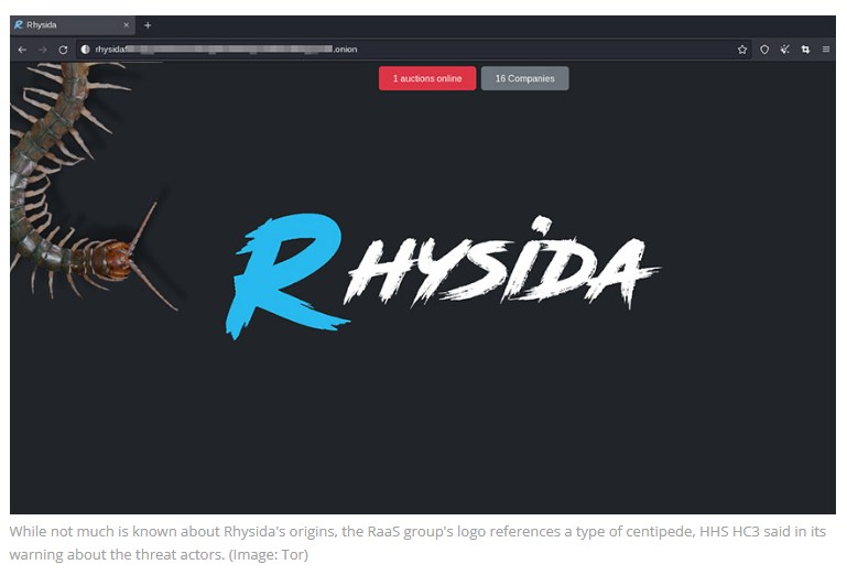 Screenshot of Rhysida leak site showing centipede logo